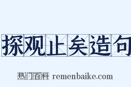 探观止矣造句是什么意思的图片